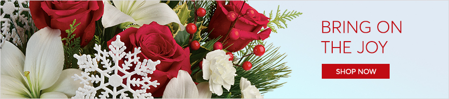 Christmas Flowers Delivery