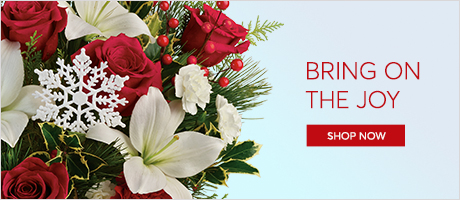 Christmas Flowers Delivery