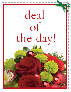 Send Christmas Flowers - Deal of the Day - Biggest Freshest Arrangement